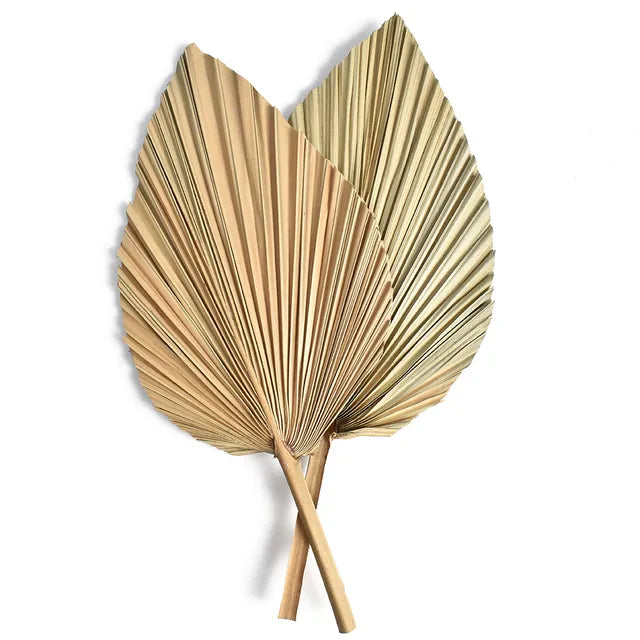 CHISZMADE| 2PCS/Set Mini Pampas Dry Leaves