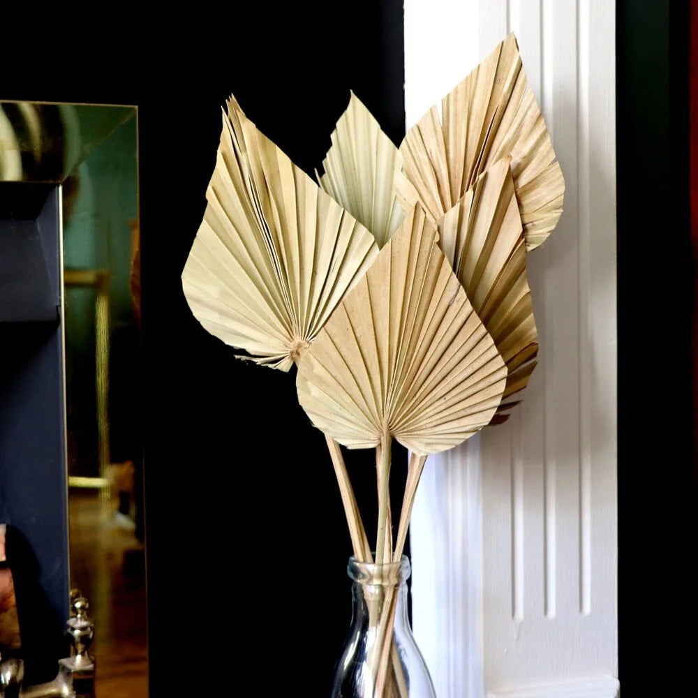 CHISZMADE| 2PCS/Set Mini Pampas Dry Leaves