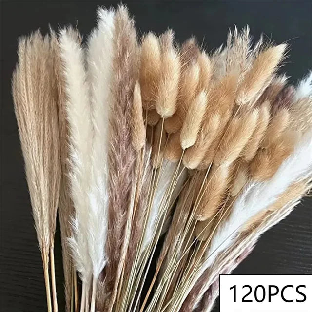 PRYOSP| 120Pcs Fluffy Pampas Grass