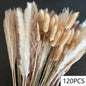 PRYOSP| 120Pcs Fluffy Pampas Grass