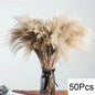 PRYOSP| 120Pcs Fluffy Pampas Grass