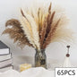 PRYOSP| 120Pcs Fluffy Pampas Grass