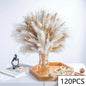 PRYOSP| 120Pcs Fluffy Pampas Grass