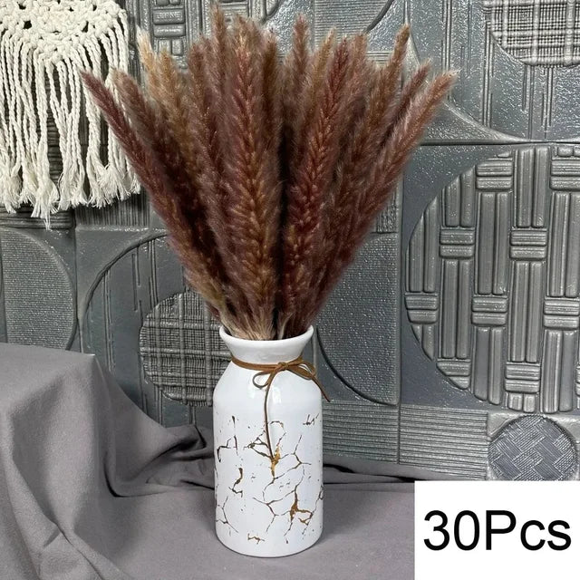 PRYOSP| 120Pcs Fluffy Pampas Grass