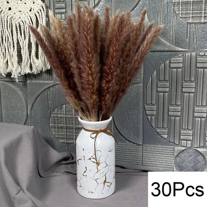 PRYOSP| 120Pcs Fluffy Pampas Grass