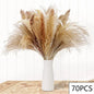 PRYOSP| 120Pcs Fluffy Pampas Grass