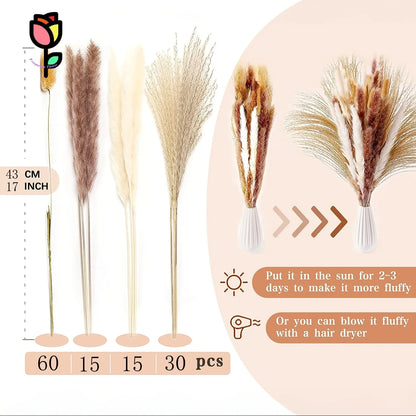 PRYOSP| 120Pcs Fluffy Pampas Grass
