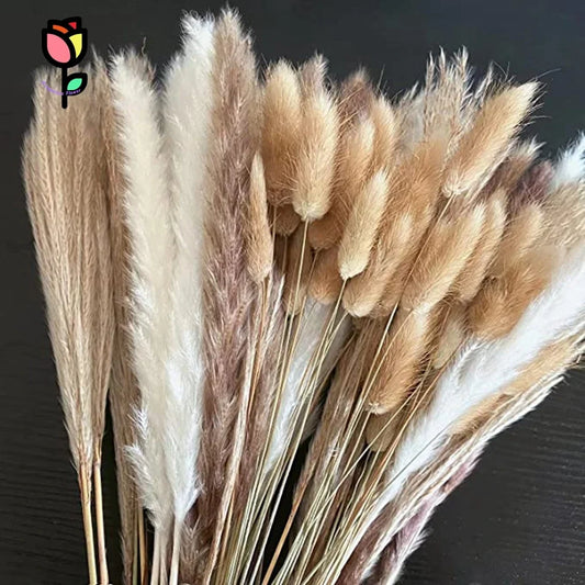 PRYOSP| 120Pcs Fluffy Pampas Grass