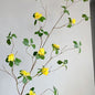 FLORYA| Artificial Long Branches