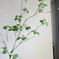 FLORYA| Artificial Long Branches