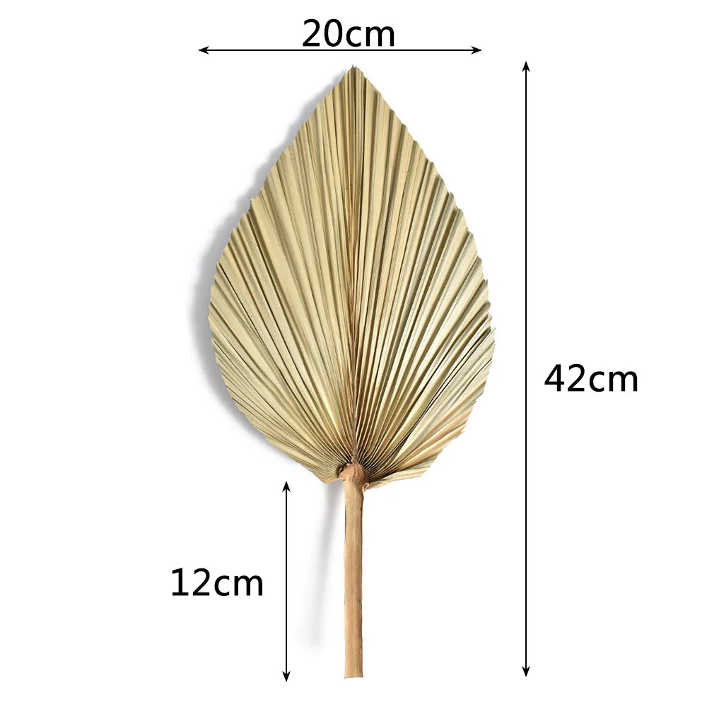 CHISZMADE| 2PCS/Set Mini Pampas Dry Leaves