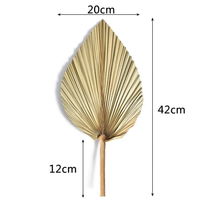 CHISZMADE| 2PCS/Set Mini Pampas Dry Leaves
