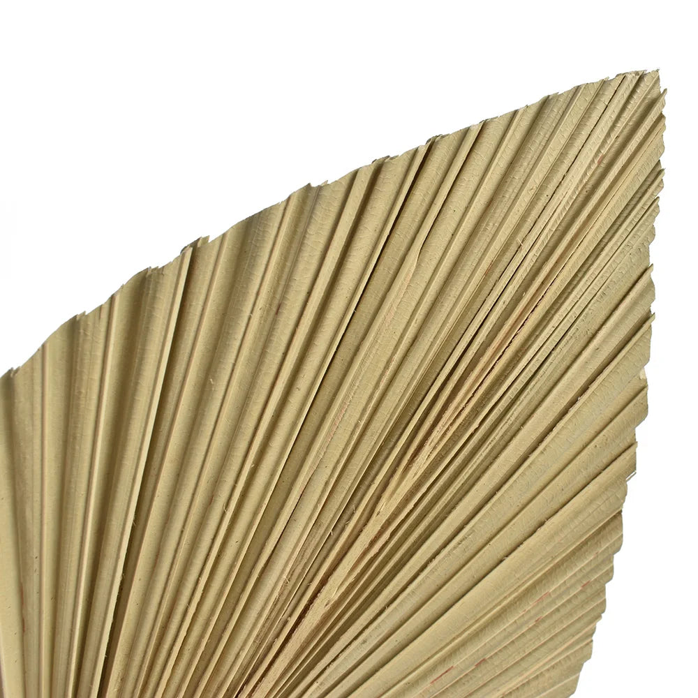 CHISZMADE| 2PCS/Set Mini Pampas Dry Leaves