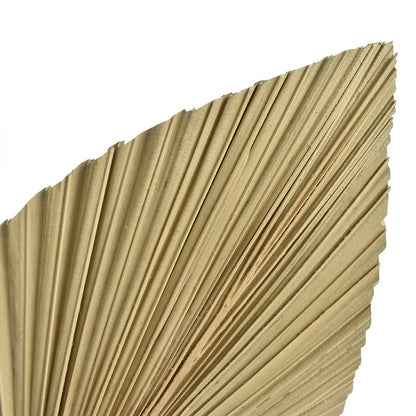 CHISZMADE| 2PCS/Set Mini Pampas Dry Leaves