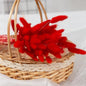 MUIJURU| 30Pcs Pampas Grass Bouquet 