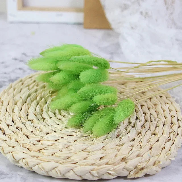 MUIJURU| 30Pcs Pampas Grass Bouquet 