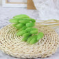 MUIJURU| 30Pcs Pampas Grass Bouquet 