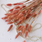 MUIJURU| 30Pcs Pampas Grass Bouquet 