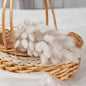 MUIJURU| 30Pcs Pampas Grass Bouquet 