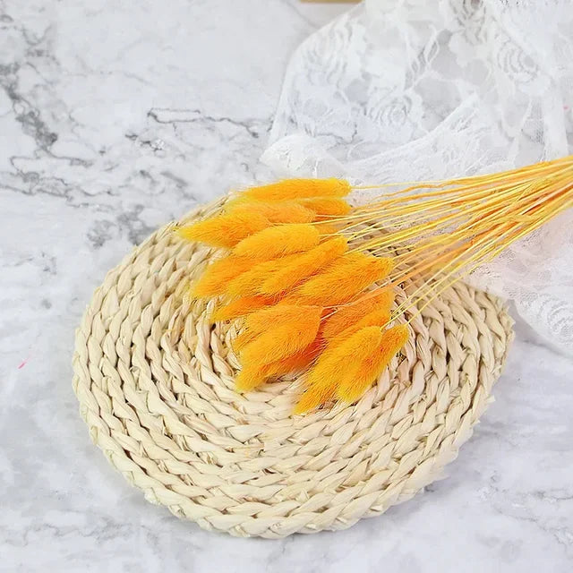 MUIJURU| 30Pcs Pampas Grass Bouquet 