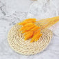 MUIJURU| 30Pcs Pampas Grass Bouquet 