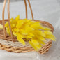 MUIJURU| 30Pcs Pampas Grass Bouquet 