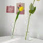 TINGRAIL| Nordic Glass Bubble Vase