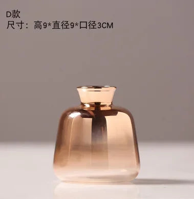 REIC| Hydroponic Glass Vase 