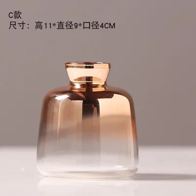 REIC| Hydroponic Glass Vase 