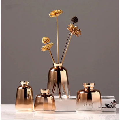 REIC| Hydroponic Glass Vase 