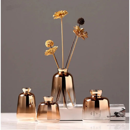 REIC| Hydroponic Glass Vase 