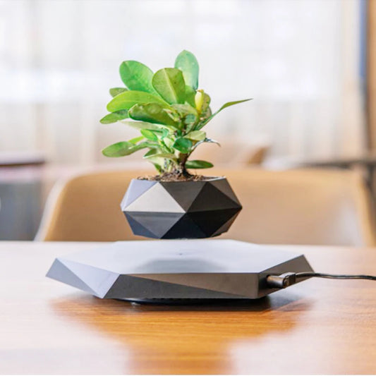FIFI| Magnetic Levitating Pot