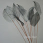 MEIRSI| Artificial Flowers 