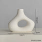 JHSDR| Modern Ceramic Vase 