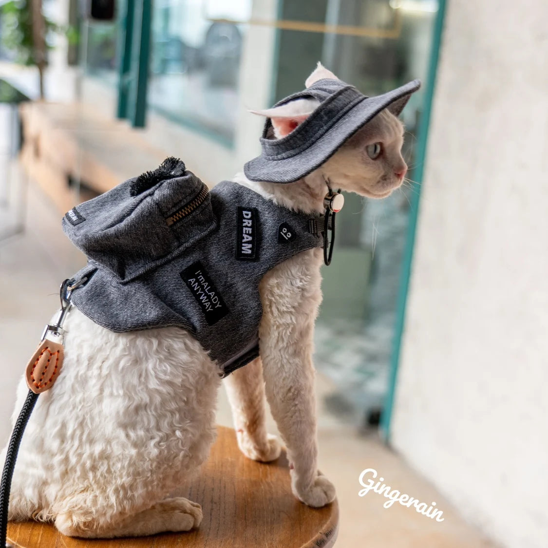 Backpack Harness Vest