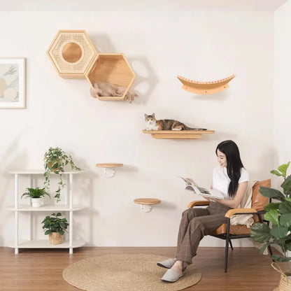 Wall-Mounted Transparent Cat Climbing Set