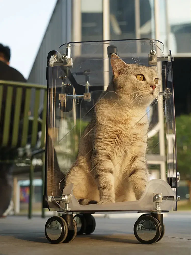 Transparent Pet Travel Trolley