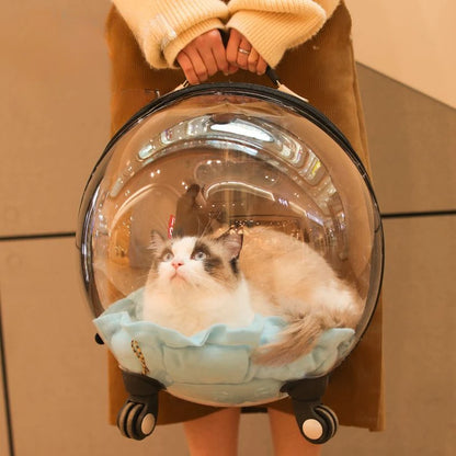 Space Capsule Cat Trolley Backpack