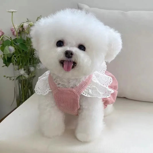 Corduroy Pumpkin Pet Dress