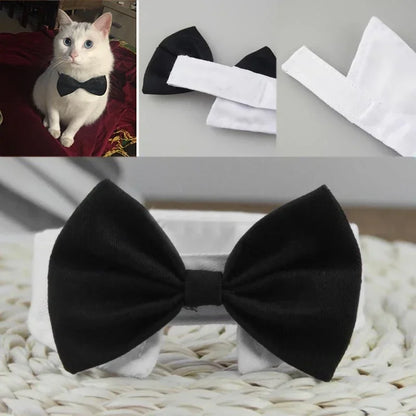 Pet Bow Tie Collar