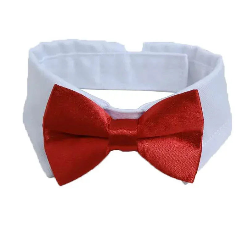 Pet Bow Tie Collar