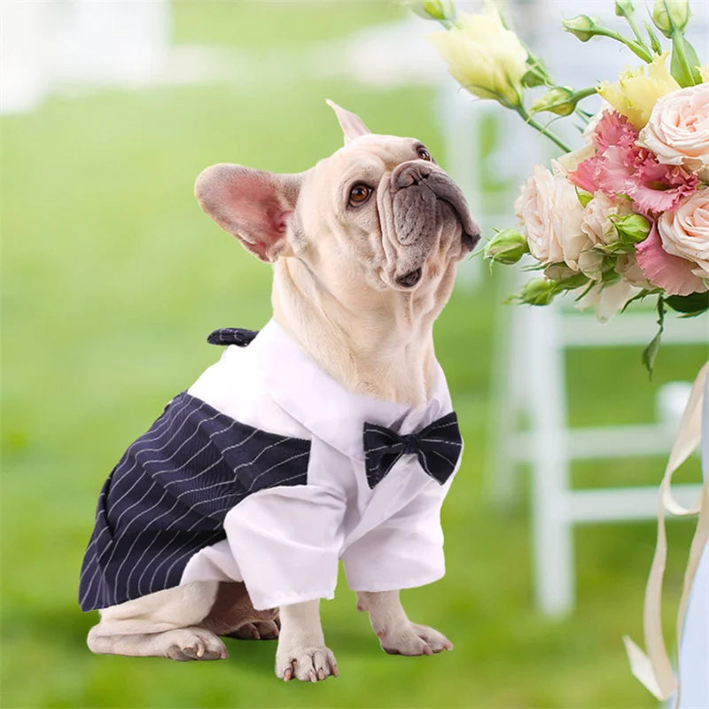 Pet Tuxedo Shirt with Bow Tie