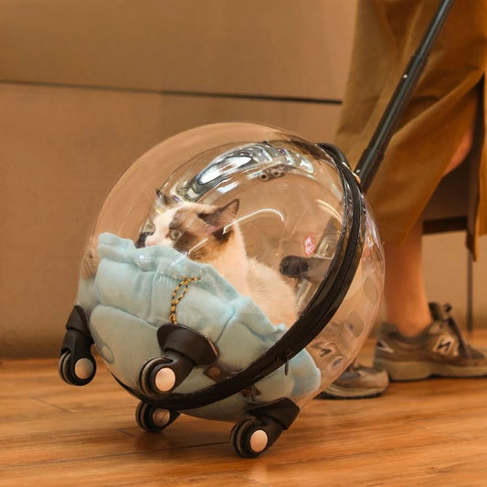 Space Capsule Cat Trolley Backpack