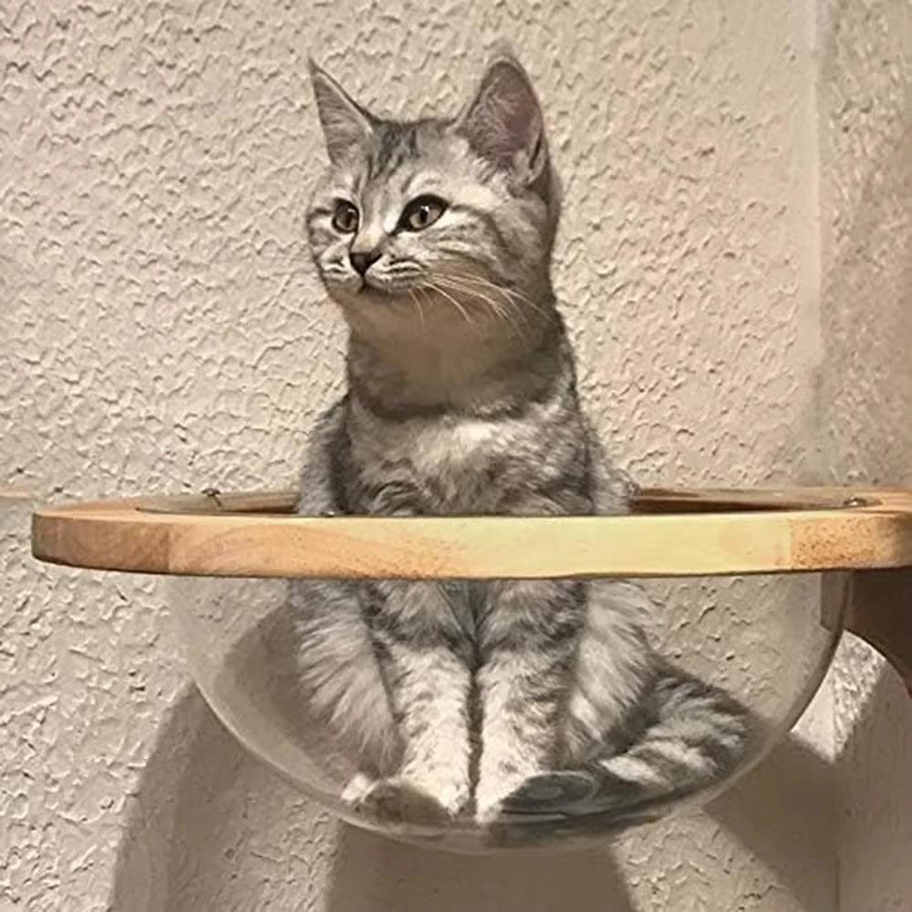 Cat Wall structure