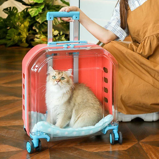 Transport Puppy Stroller