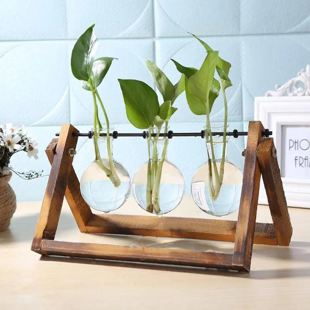 FIVVES| Vintage Hydroponic Plant Vase