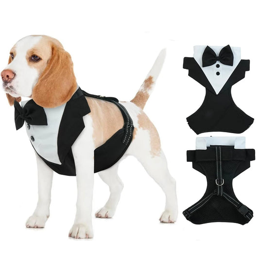 Puppy Tuxedo Harness with Bow Tie