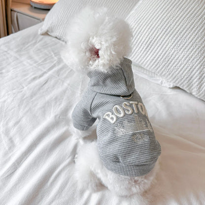 Gray Spring Sweater for Cats & Dogs