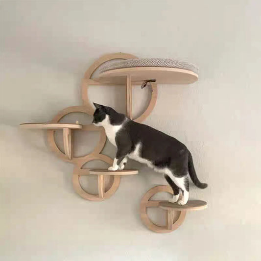 Wall-Mounted Round Cat Jump Platforms