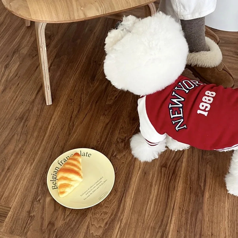 Winter Baseball Jacket for Small Pets